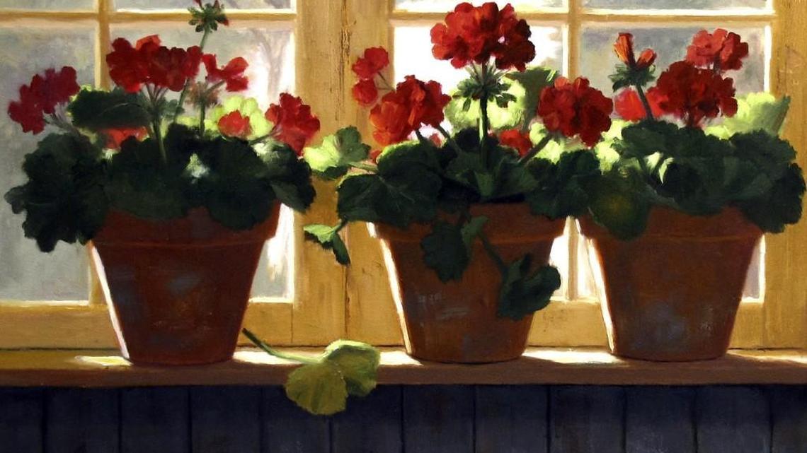 Western WA gardeners must have patience, or be tolerant of failure if they plant too soon