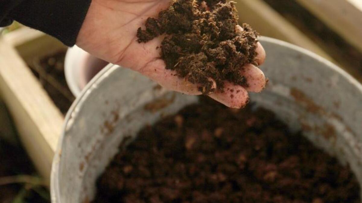 You can save money by reusing this year’s potting soil. Just be sure to aerate and add nutrients.