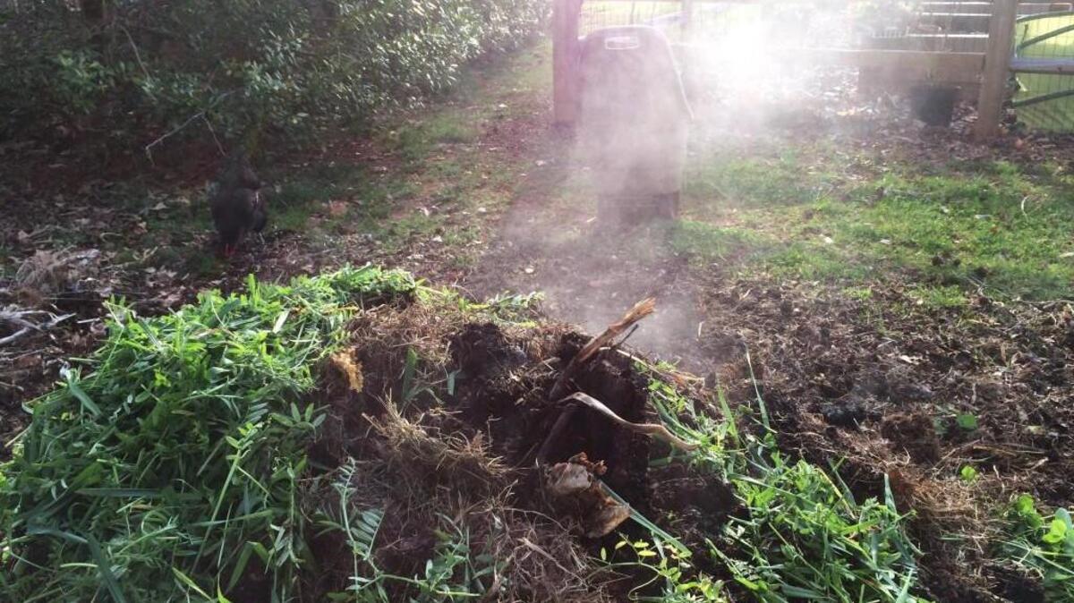 By piling green material such as weeds and grass clippings with brown material like leaves and stems, you can create compost. Pile it up, let it rot, spread it around in the spring.