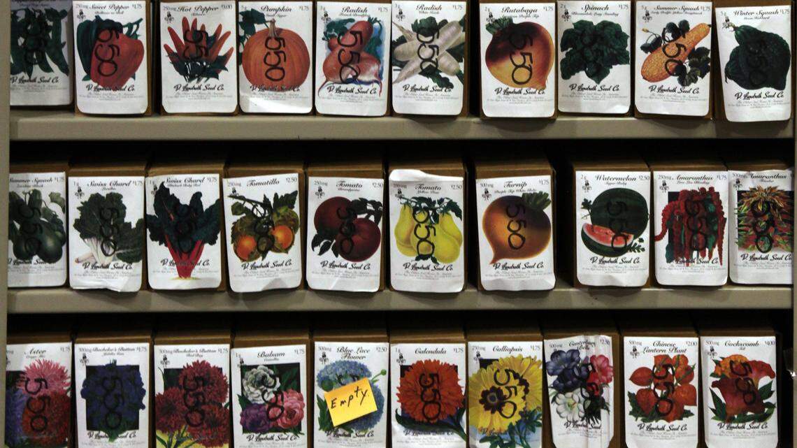 Ready? Set. Go! Gardening takes off with arrival of March