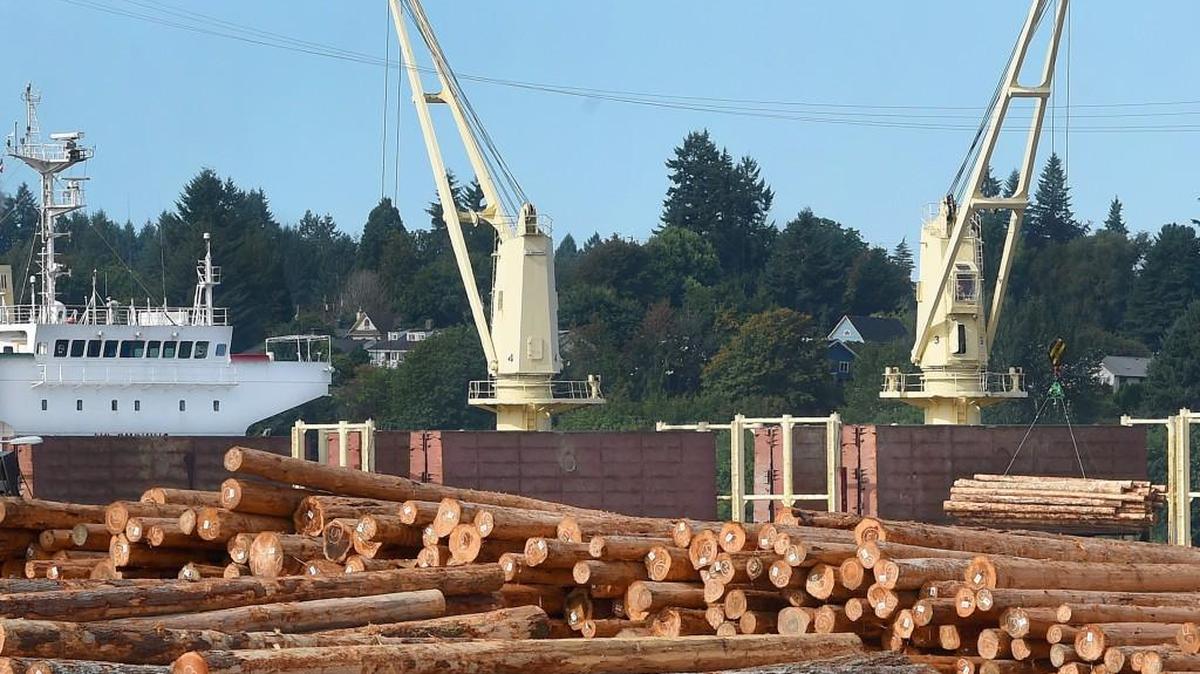 Weyerhaeuser logs destined for China are loaded onto the visiting cargo ship Sun Ruby at the Port of Olympia’s Marine Terminal in 2015.