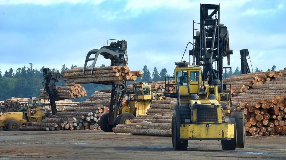 Weyerhaeuser logs destined for China are loaded onto the visiting cargo ship Sun Ruby during August operations at the Port of Olympia's Marine Terminal.