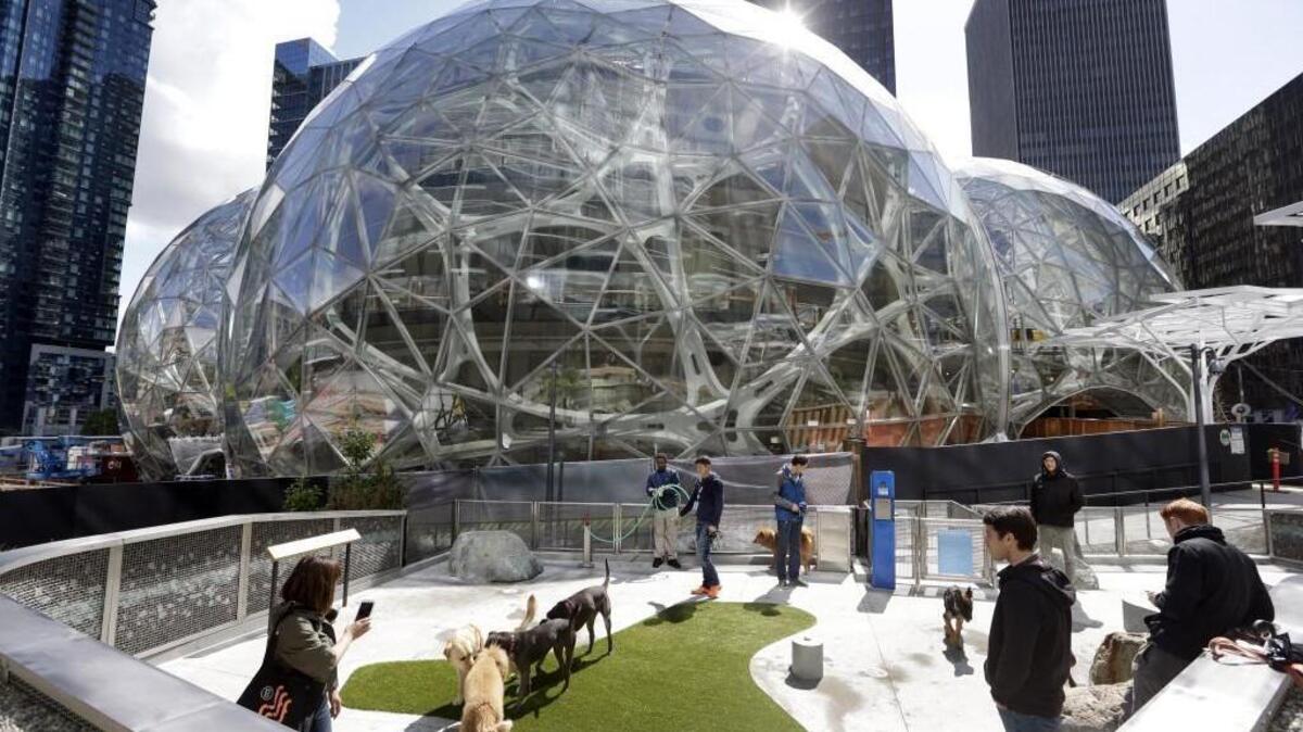 Amazon employees tend to their dogs in a canine play area adjacent to where construction continues on three large, glass-covered domes as part of an expansion of the Amazon.com campus, Thursday, April 27, 2017, in downtown Seattle. The company is asking cities to compete for its request to build a second headquarters outside of Seattle. (AP Photo/Elaine Thompson)