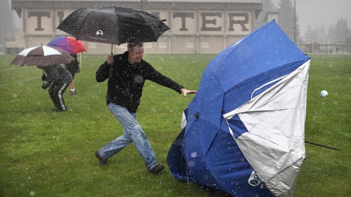 Expect rain and high winds on Sunday, with gusts as strong as 60 mph possible.