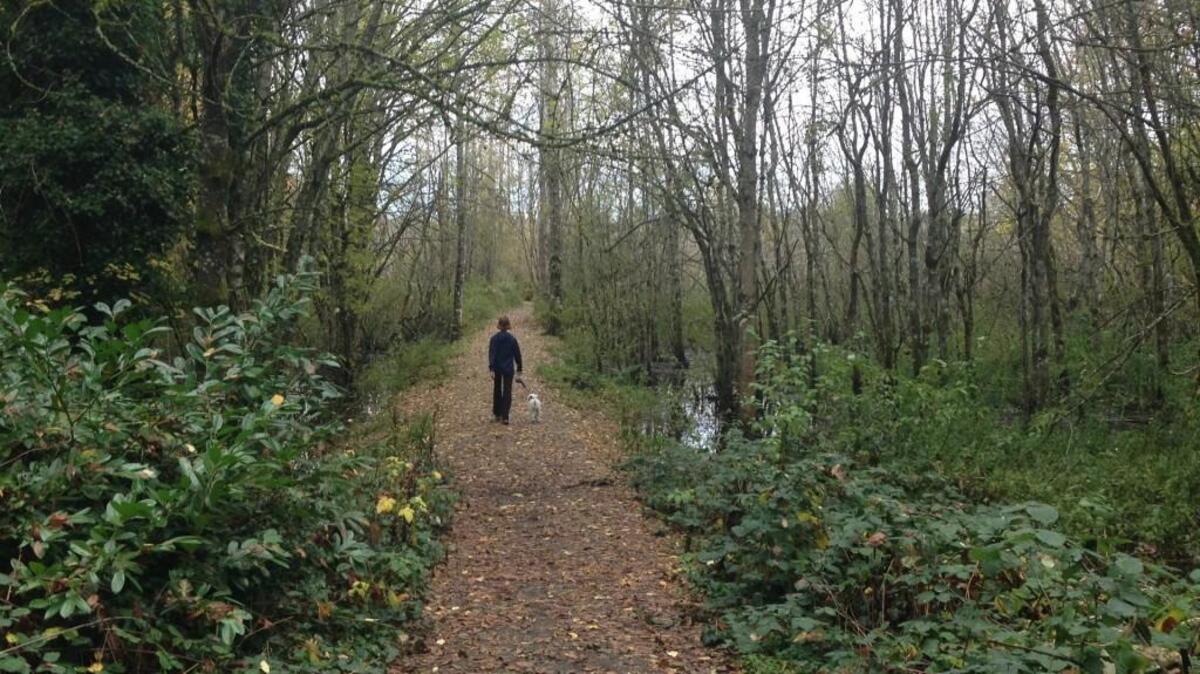 A walker visits Seeley Lake Park in Lakewood last fall. Lakewood remains one of the most affordable places for rentals in the Tacoma-Seattle region.