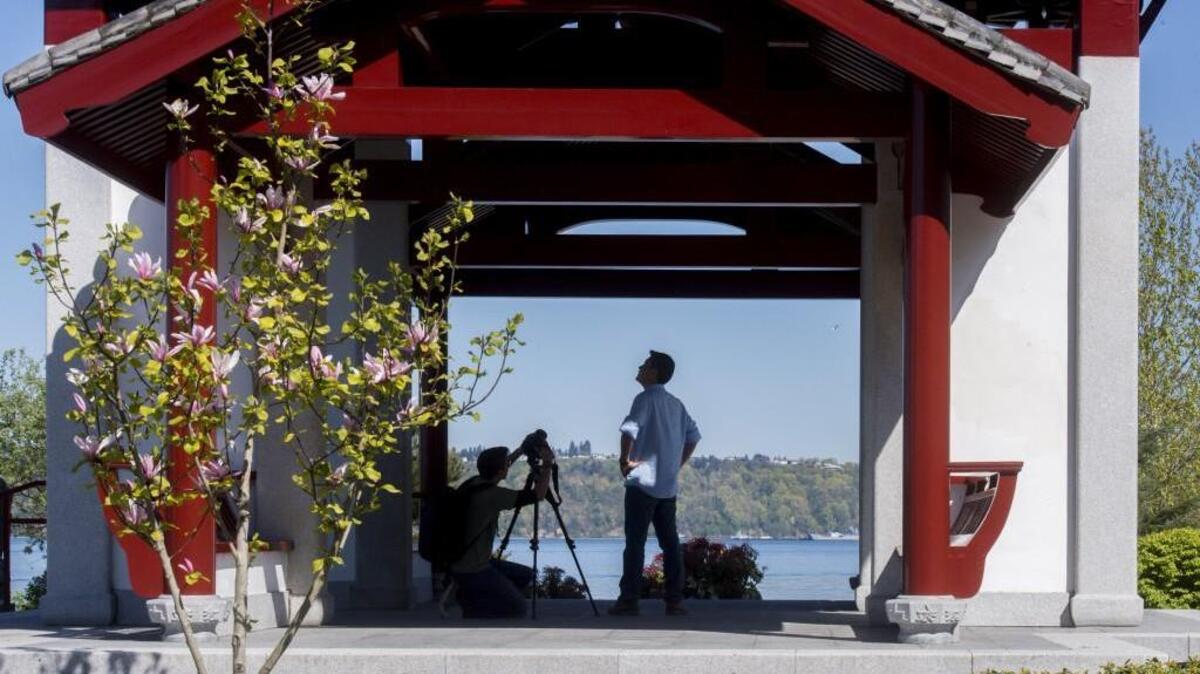 Wuzhi Lu looks around the Fuzhou Ting for videographer Bogdan Zlatkov, April 7. Lu is the Mandarin-speaking "talent" in a travel video promoting the Tacoma area commissioned by Travel Tacoma.