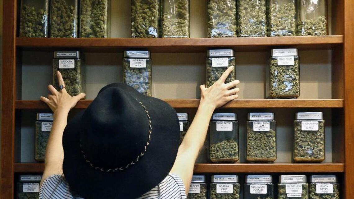 Pot workers may not earn as much as you, but they might be more optimistic