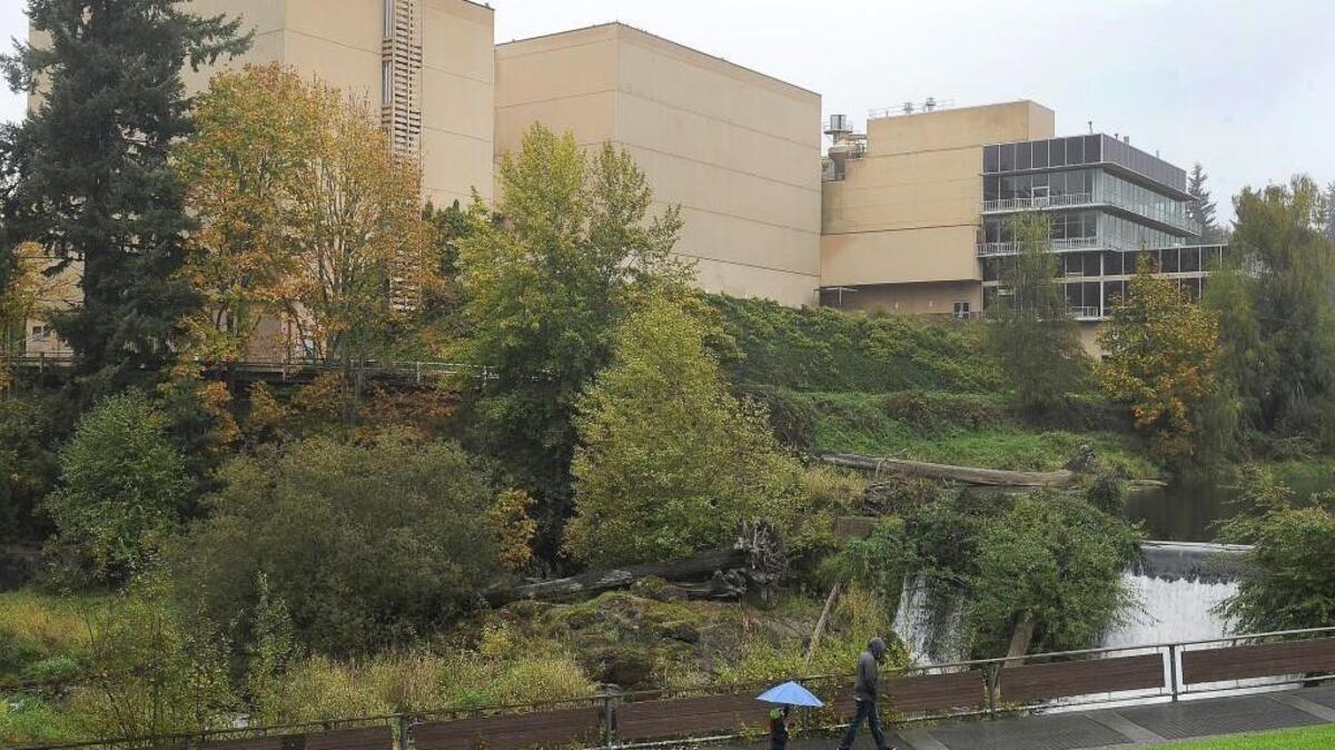 
A steady mist falls on pedestrians Oct. 18 across from the long-vacant brewery site in Tumwater. The historic property goes to auction Oct. 28 at the Red Lion Hotel Olympia.
