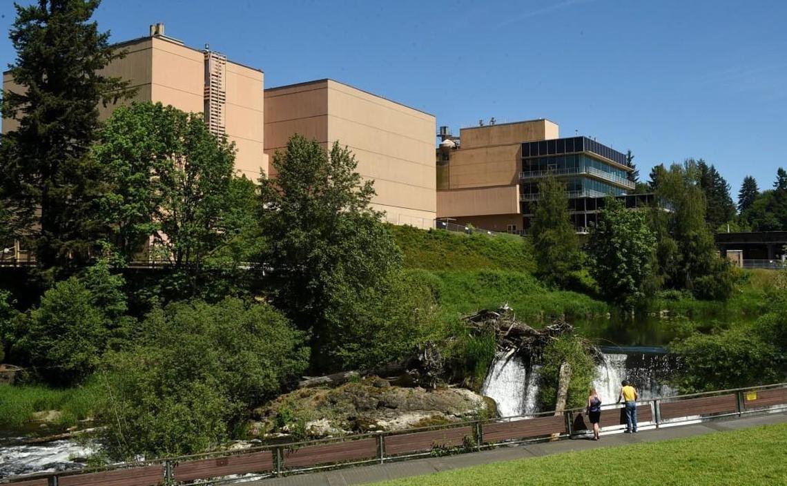 Olympia Brewing ended operations in Tumwater in 2003. In recent years, the brand has been produced at sites in California, Canada and most recently as part of a “revival” brew in Texas.