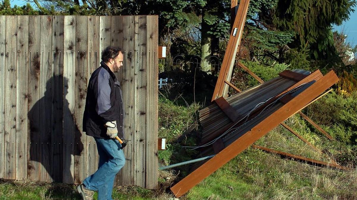 A new survey finds that Washington residents have misconceptions about who pays for what when trees cross property lines.