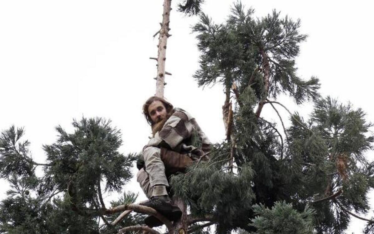 A man who spent 25 hours high atop a sequoia tree in downtown Seattle in March has been found incompetent to stand trial on a malicious mischief charge.