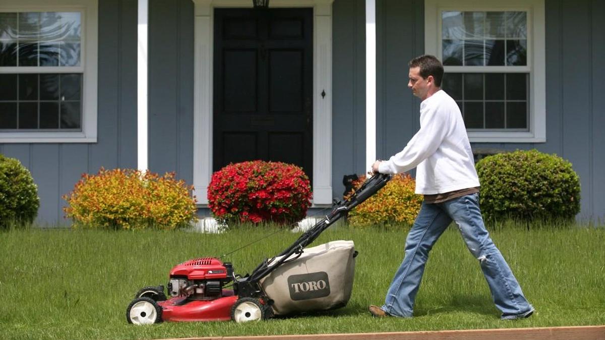 Your lawn is the most expensive plant in your home landscape.