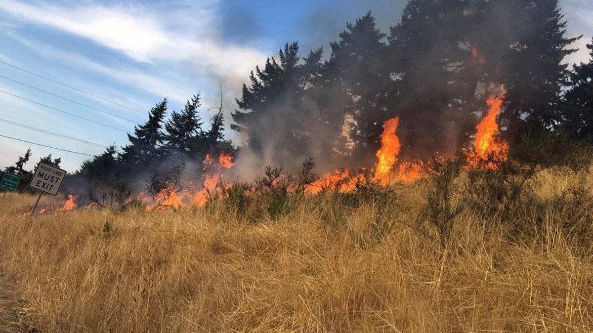 A brush fire blocked traffic Sunday near northbound Interstate 5 and 56th Street in Tacoma.