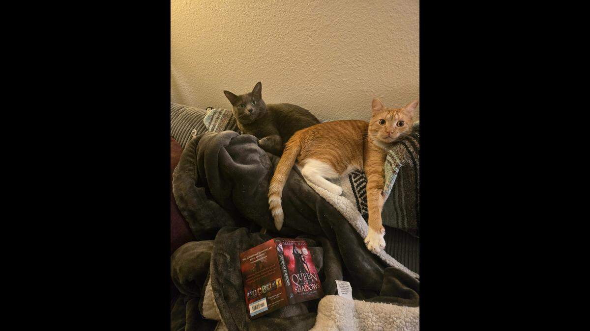 Kaya, left, and Indy get along well, their human said.