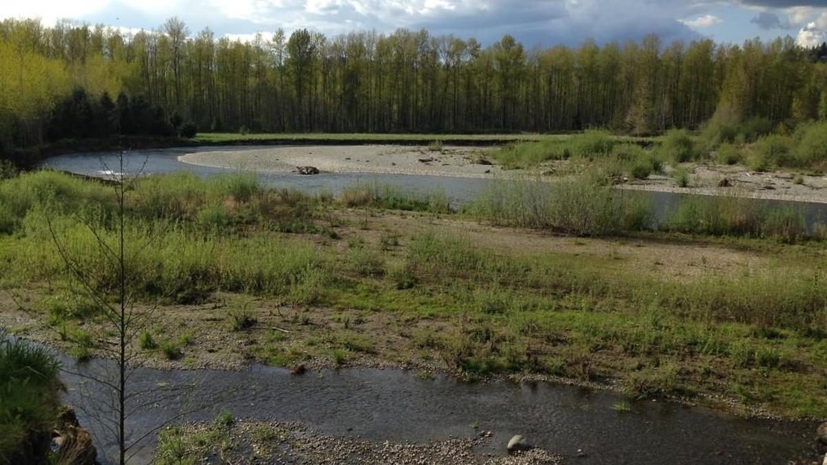 Key decision points face the Green River in the near future such as adding a fish passage to the Howard A. Hanson Dam and improving local communities’ floodplain and pollution management.