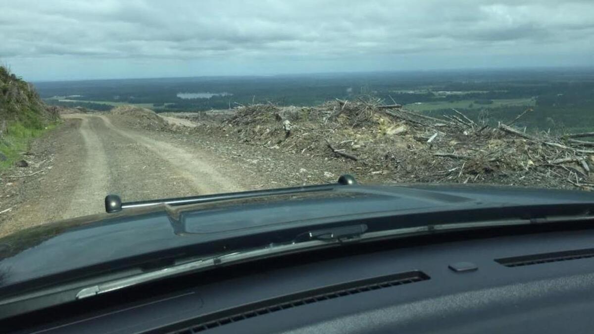 This Thurston County Sheriff’s Office photo shows just how far deputies had to go to arrest a burglary suspect on Monday. In the distance is Clear Lake.