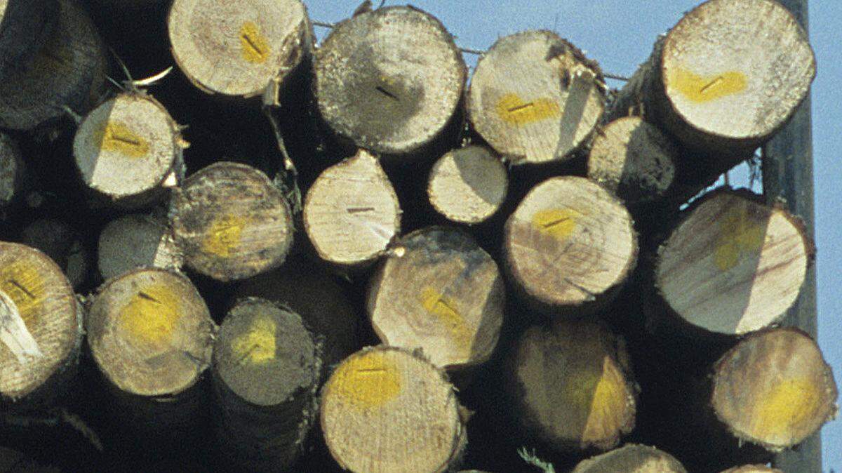 The Environmental Protection Agency filed a complaint in federal court this month against Manke Lumber Co.’s facility on Tacoma’s Tideflats. The EPA alleges Manke has been sending polluted water into the Hylebos Waterway since at least 2012, without a proper permit.