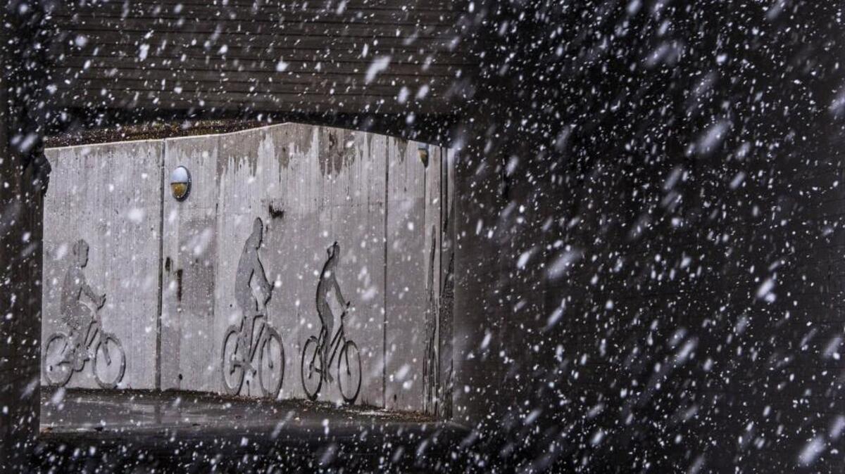 The only cyclists seen looking through the South 19th Street underpass of the Scott Pierson Trail on a snowy Sunday are impressions in a concrete wall. November 5, 2017.