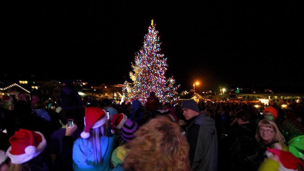 The Gig Harbor Holiday tree.