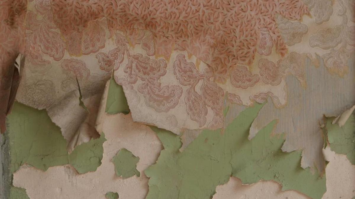 Lead house paint that dates from before the 1978 federal ban is the No. 1 source of lead poisoning of children in the United States, and children who live in older homes can be exposed through peeling paint.
