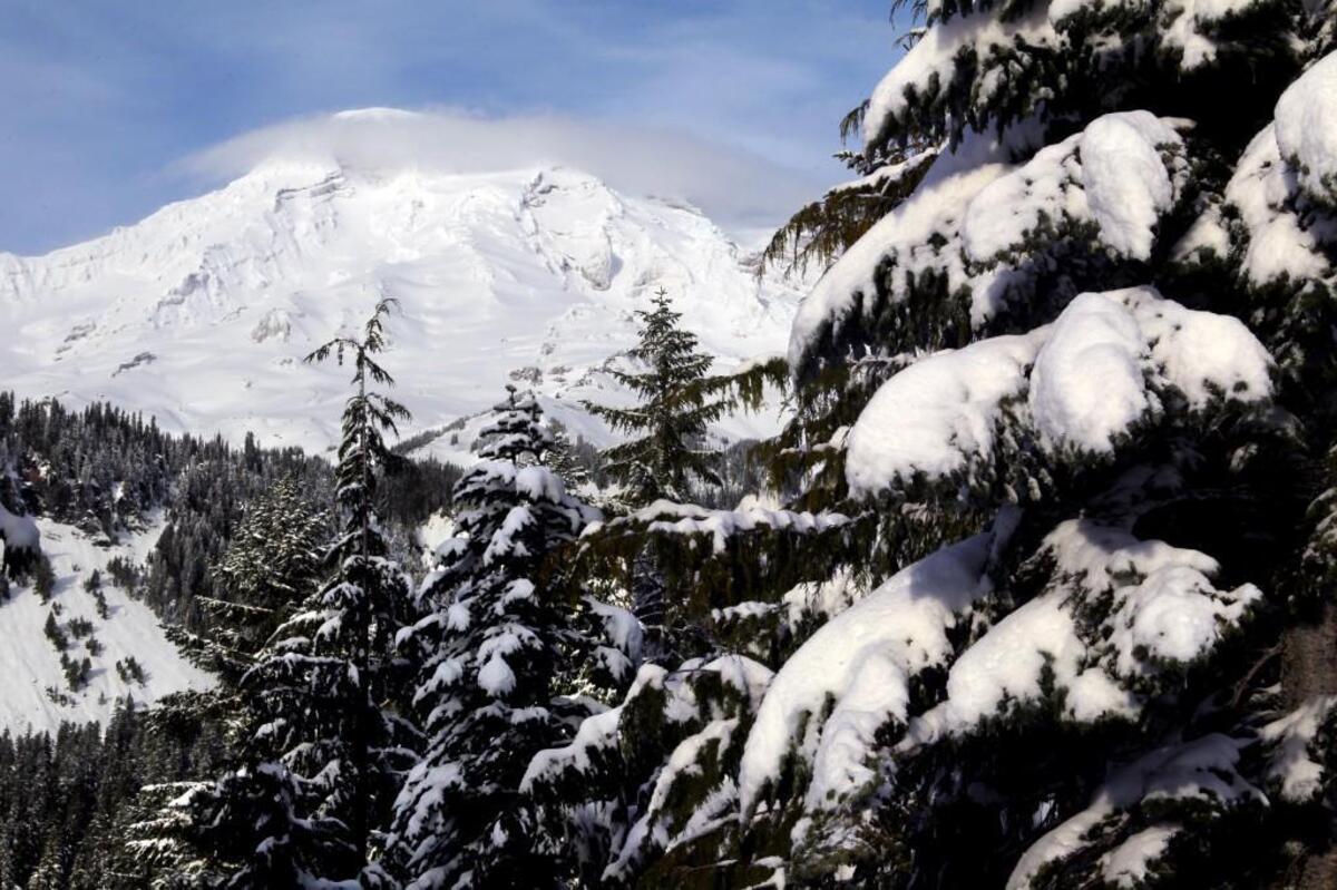 Mount Rainier in winter