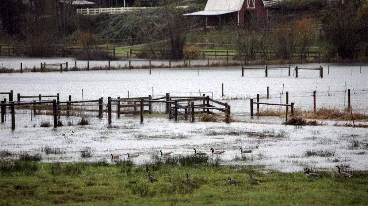 Flooding could be come increasingly common in the Puget Sound region as the climate warms, according to a new University of Washington study.