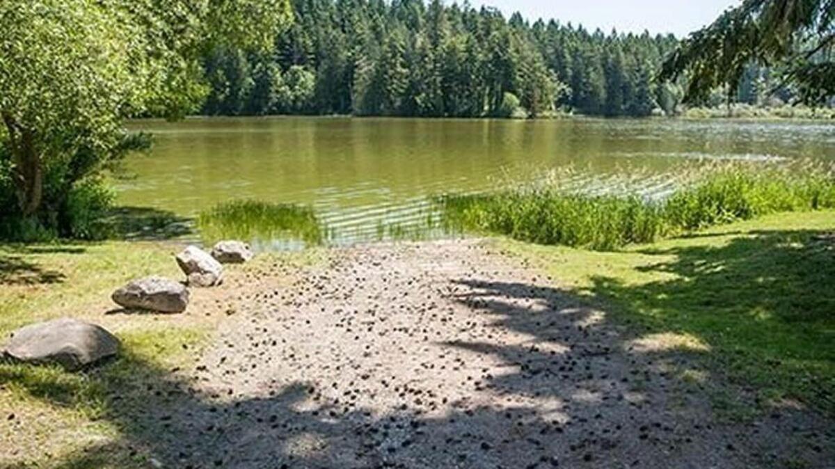 A toxic blue-green algae advisory has closed all water activities, including swimming and fishing, at Anderson Lake State Park near Port Townsend.