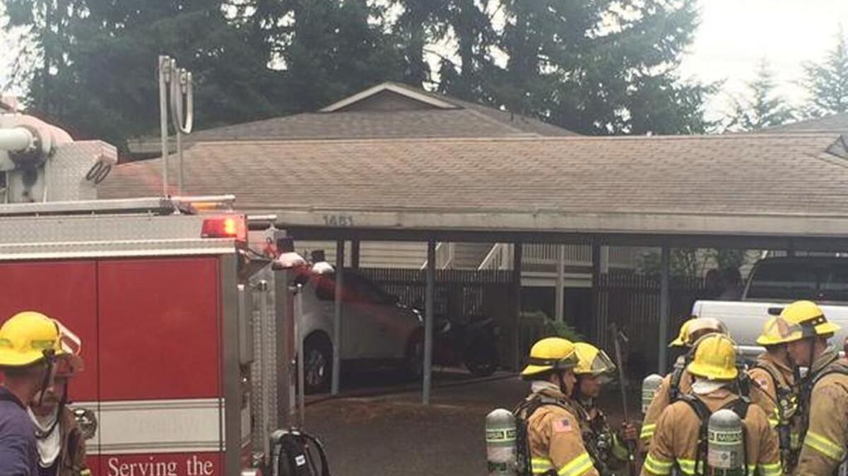 
A kitchen fire at a Fircrest apartment killed a pet dog and caused minor injury to a firefighter Tuesday afternoon.

