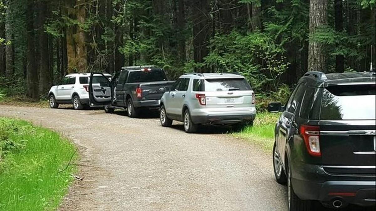 The Mason County Sheriff’s Office is investigating the discovery of human remains near a U.S. Forest Service road.