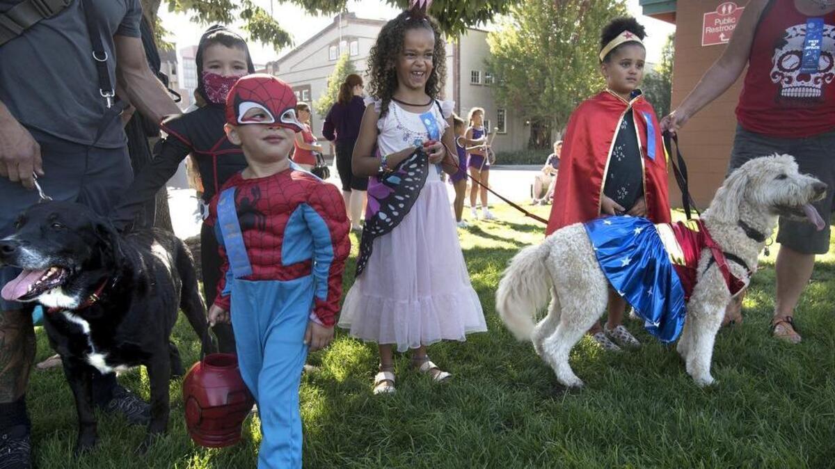 Jaxon "Spiderman" Fox, 3, of Olympia is joined by brother Wes "Ninja" Fox, 7, and his 6-year-old twin cousins, River "Princess" Miles and Lily "Wonder Woman" Miles of Brooklyn, New York, as they wait with dogs Coda (left) and Teddy, for the start of the 87th annual Pet Parade in downtown Olympia on Saturday.