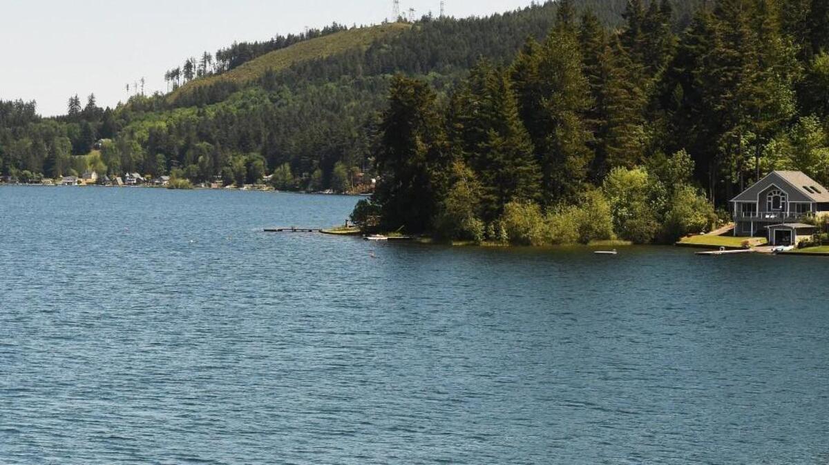 Summit Lake is quiet because a toxic algae bloom has made lake water unsafe.