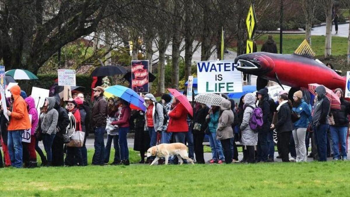 After departing Sylvester Park in downtown Olympia on Wednesday, several hundred participants in the International Women's Day march head south along Capitol Way to the Capitol Campus. The short march ended on the steps of the General Administration Building, where some participants headed inside to attend an afternoon event conducted by the NARAL Pro Choice America organization.