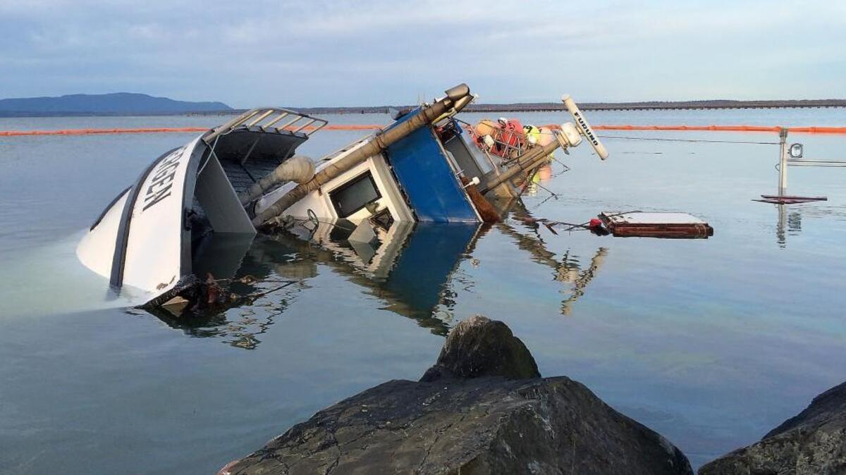The Bergen in Bellingham Bay on Friday, a day after a storm yanked it off its mooring.