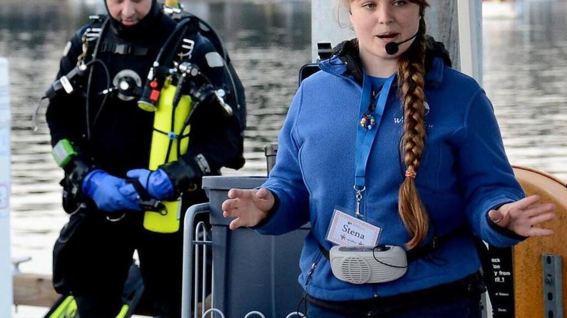 Harbor Wildwatch’s Pier into the Night program returns for its 8th year