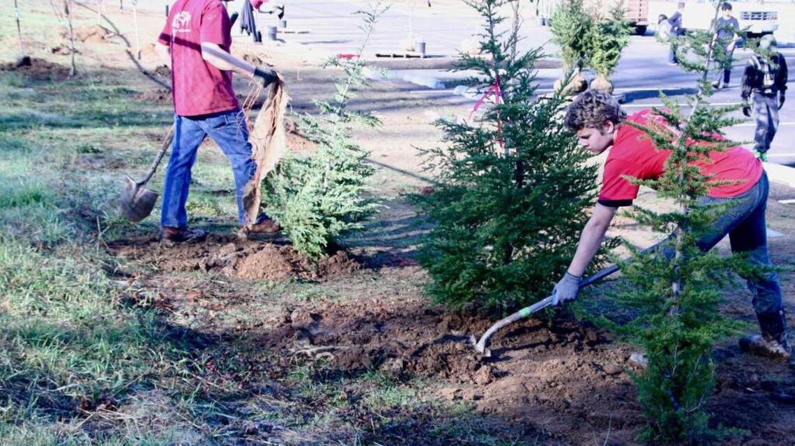 Scouts roll up their sleeves and dig in to brighten up Gateway Park