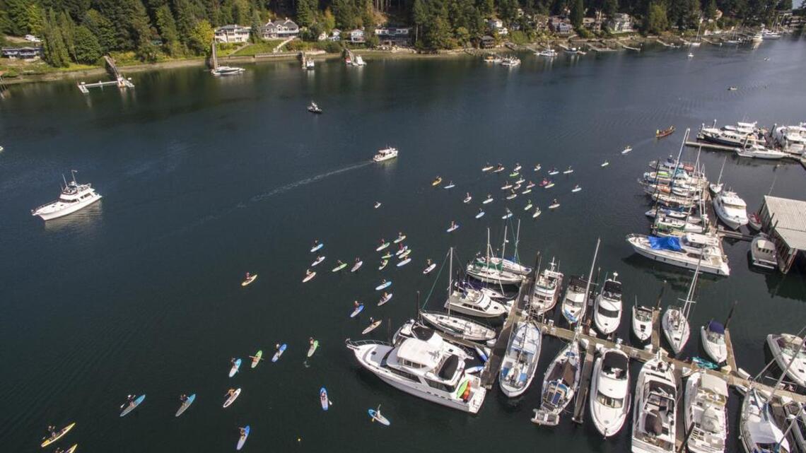 Grass clippings in the harbor? Really, people?