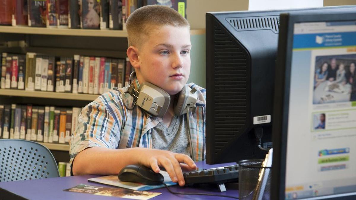 The Pierce County Library System offers in-library and online resources to help students master core academic standards, successfully write research papers, complete daily homework, and become fluent in a foreign language.