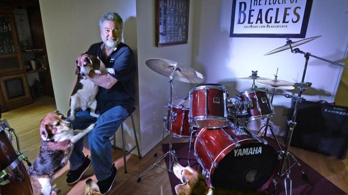 Doug Kammerer, drummer and founder of The Flock of Beagles band, is surrounded by the two most important things in his life: his Beagles and music at his home studio on Fox Island. The band played a donation concert to benefit the Seattle Beagle Rescue, donating $500 from the performance on Friday at MarKee Coffee shop in Gig Harbor.