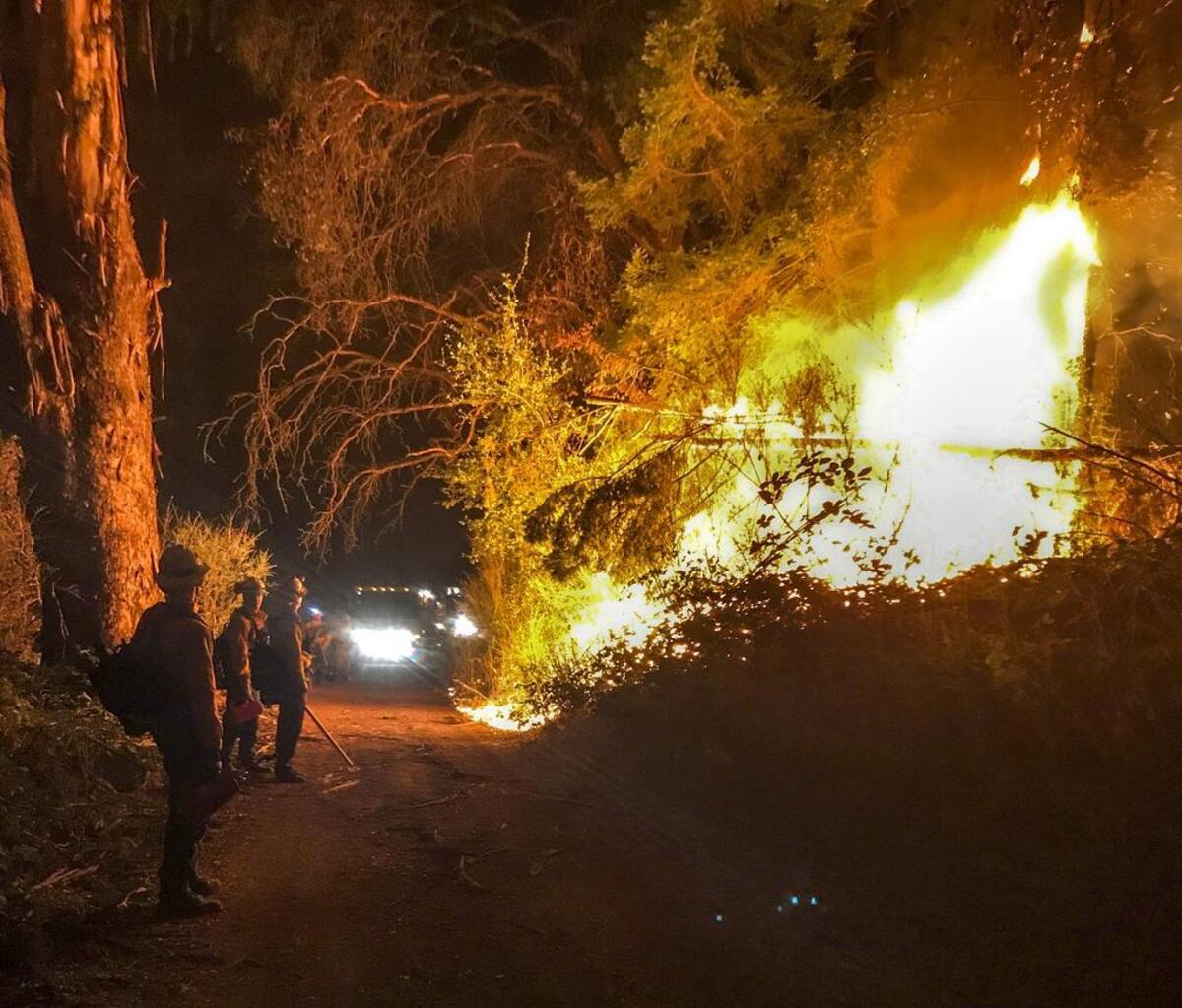 Bainbridge Island, Key Peninsula & Cal Fire personnel conduct a burn out on the Oakmont Fire.