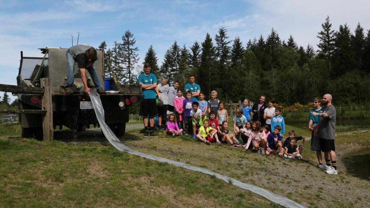 A truck unloads rainbow trout last week into a pond located adjacent to the Tom Taylor YMCA in Gig Harbor North. Children attending the YMCA day camp during their spring break last week were treated to a front-row seat of the stocking process.