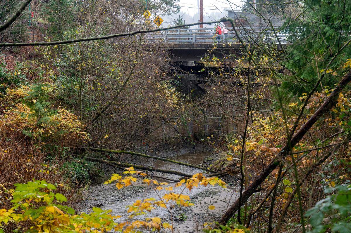 People walk across a bridge spanning Donkey Creek along North Harborview Drive in Gig Harbor on Monday.