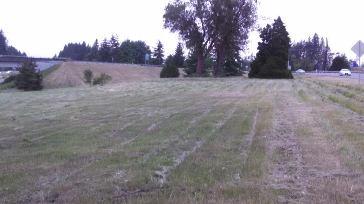Eight members from the Gig Harbor Rotary Club cleared the Wollochet interchange after obtaining permission from WSDOT.
