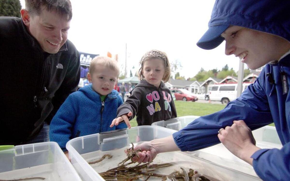 
Zach Howlett and his son, Cedar, and daughter Levity check out sea creatures in touch tanks with Harbor Wildwatch program coordinator Rachel Easton at an event in Skansie Brothers Park. 
