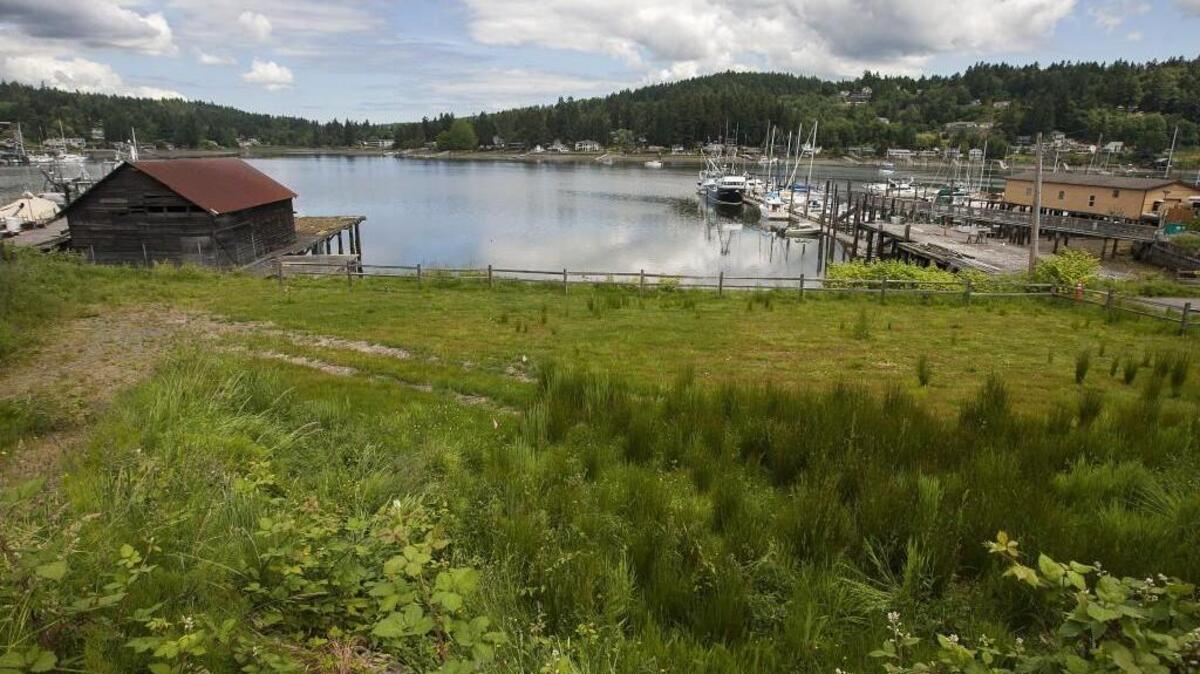 Proposed plans for development of Ancich Waterfront Park includes a building with a street-level public viewing platform, storage underneath for non-motorized water vessels and public restrooms.