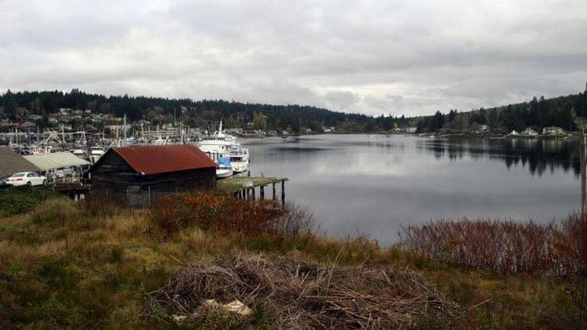The Gig Harbor City Council voted unanimously at Monday night’s meeting to move forward with the restoration of the Ancich Netshed, following the recommendation of the Washington State Department of Historic Preservation (DAHP).