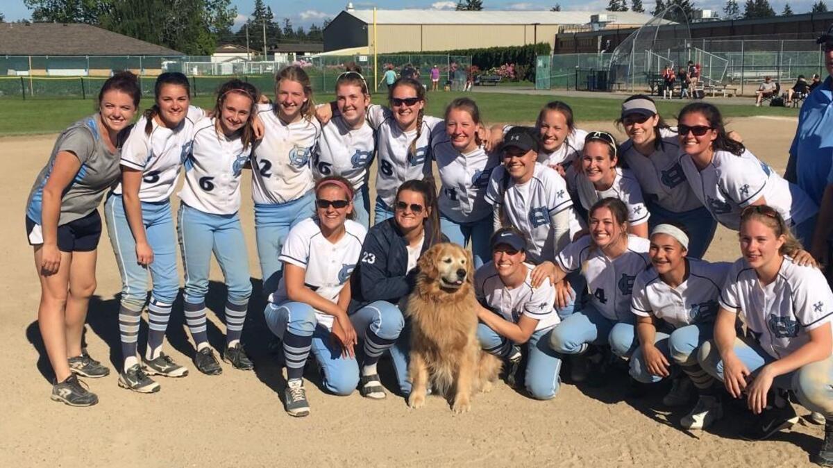The Gig Harbor High School softball team is headed to the Class 3A state tournament as the No. 5 seed.