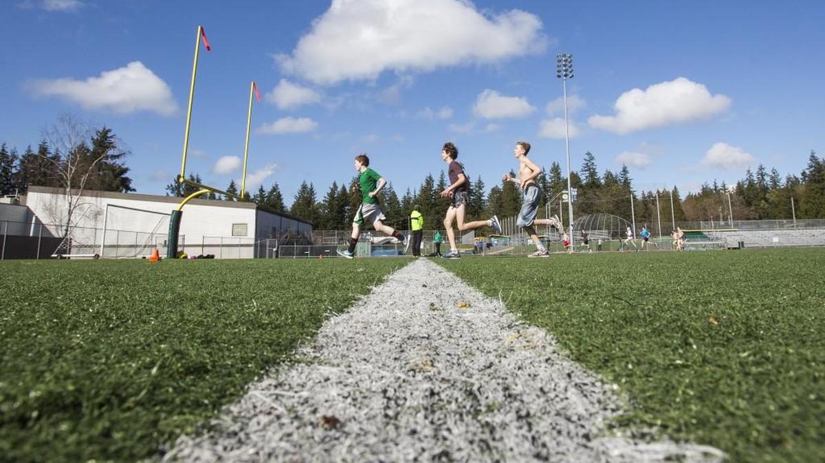 Additional lit, turf fields in Gig Harbor north would alleviate some of the heavy usage of fields such as Roy Anderson Field on the campus of Peninsula High School.