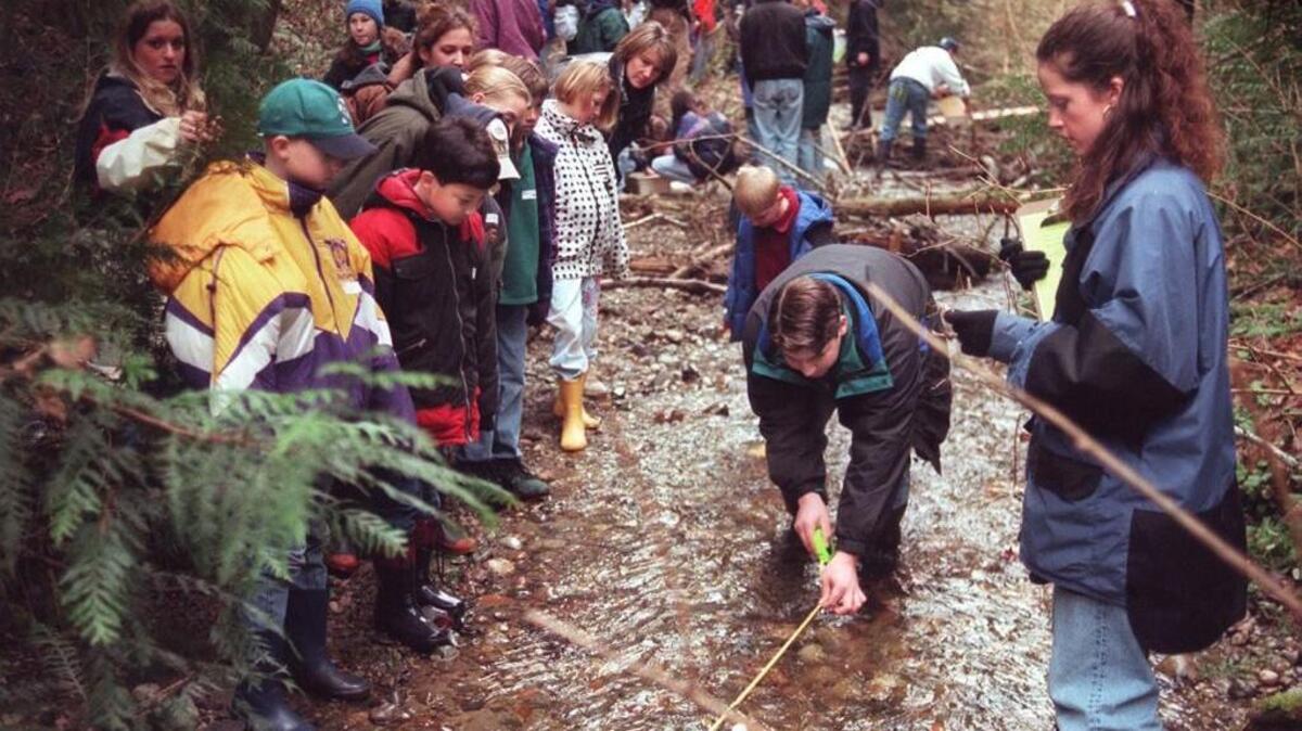 Matt Castellani, a sophomore at Peninsula High School (in creek) and other students from the marine science class, use a tape measure, a ping pong ball and a stopwatch to measure the velocity of the Goodnough stream behind Purdy Elementary School while fourth graders from that school look on.
