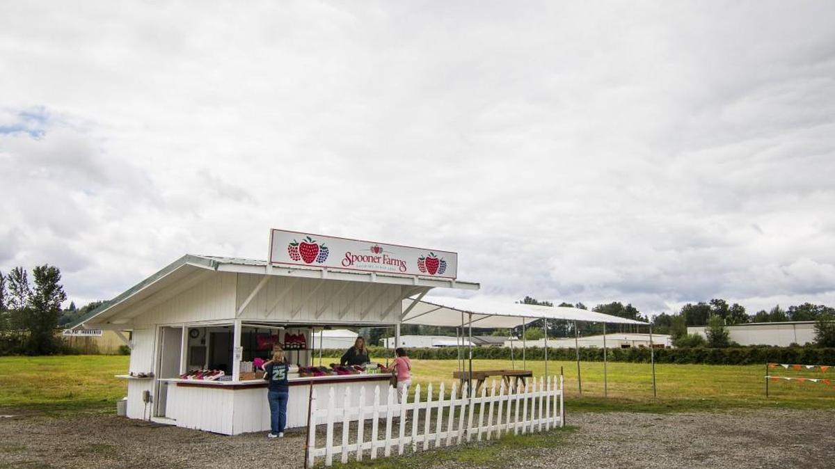 The Spooner Farms berry stand in Puyallup in 2016.