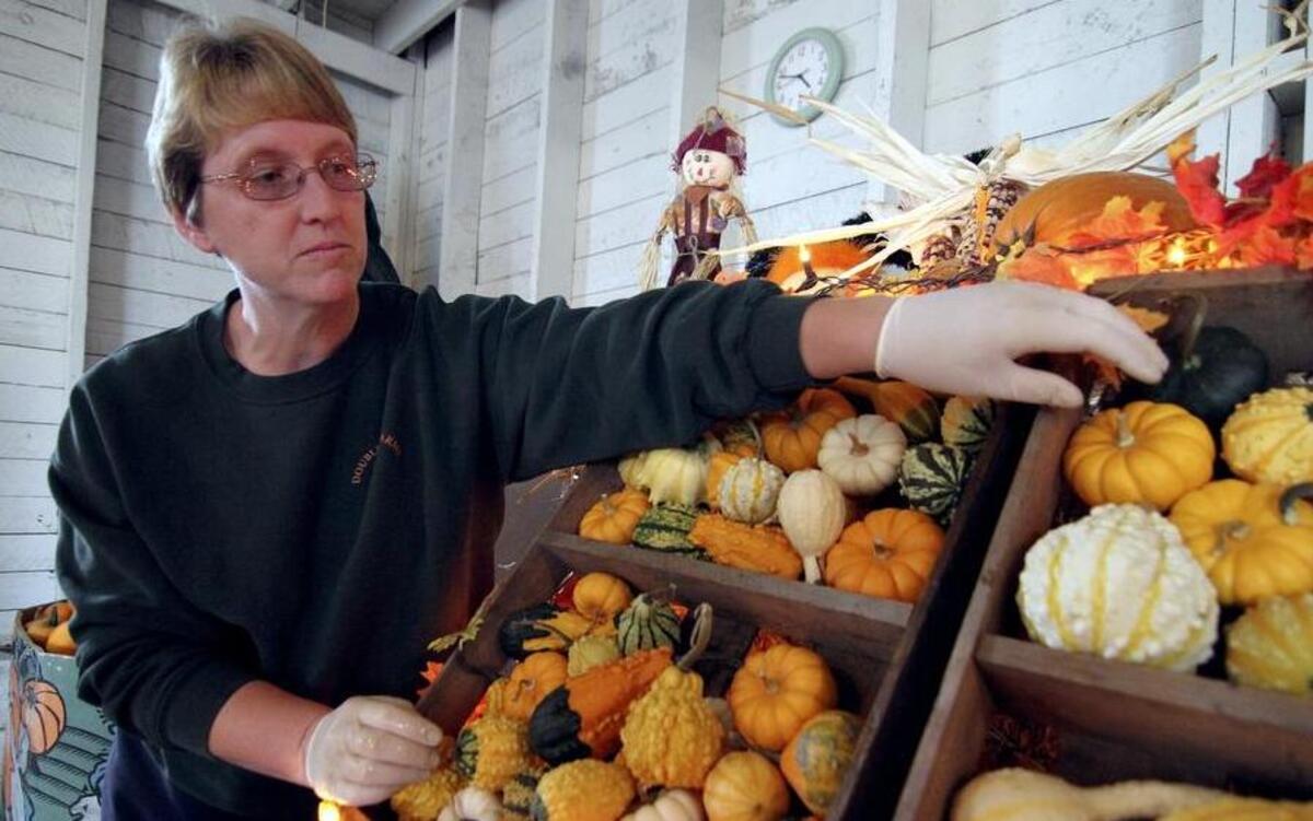
Double R Farms co-owner Geri Ruiz cleans gourds last week at her Puyallup farm in preparation for its weekend opening.
